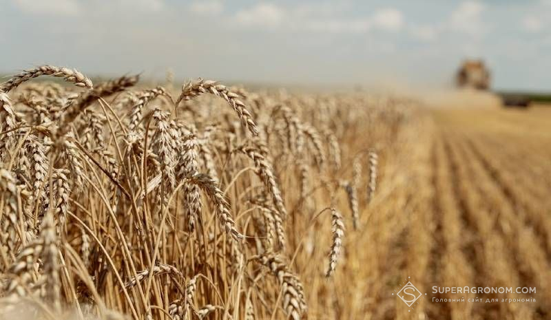 Ви зараз переглядаєте KSG Agro одночасно збирає пшеницю та ячмінь, планує зібрати 5 тис. га за 10-12 днів
