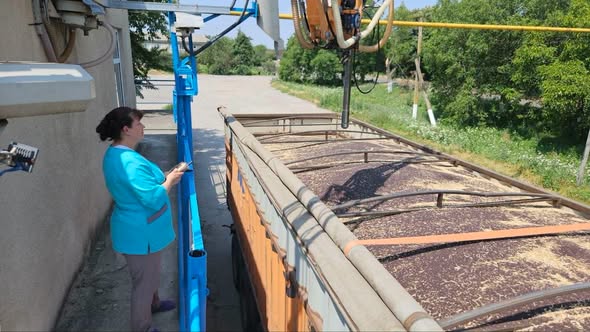 Ви зараз переглядаєте На елеватори Tekom Agro Group надійшов ріпак нового врожаю