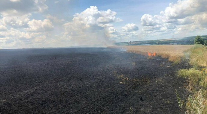 Ви зараз переглядаєте На Херсонщині горять поля з урожаєм, площі уже перевищили весь минулий рік