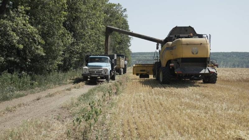 Ви зараз переглядаєте На Вінниччині стартували жнива ранніх зернових: аграрії скаржаться на дефіцит кадрів і дорогі ресурси