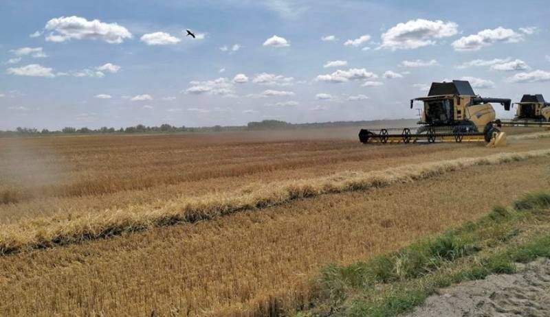 Ви зараз переглядаєте На Волині вже обмолотили 60% озимого ячменю: середня врожайність — 4,3 т/га