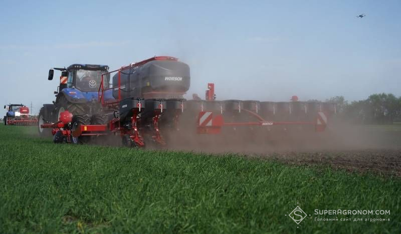 Ви зараз переглядаєте Нерівномірний розподіл фосфору послаблює стійкість рослин до стресів — Хорш