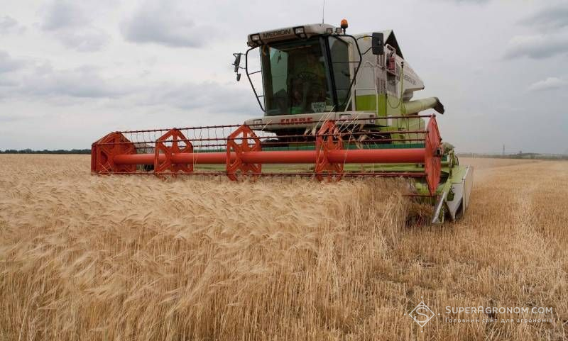 Ви зараз переглядаєте Жнива-2026 на Кіровоградщині: рост врожайності зерна та вплив погодних умов