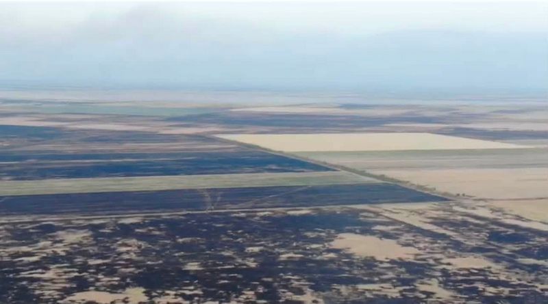 Ви зараз переглядаєте Росіяни навмисне атакують посіви дронами: херсонські аграрії вкорте закликають переглянути державну підтримку для прифронтових громад
