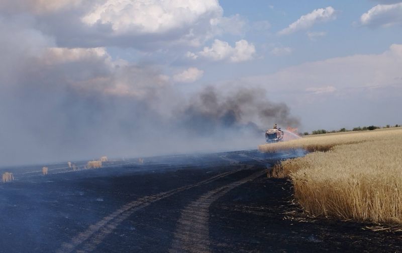 Ви зараз переглядаєте Росіяни продовжують спалювати поля: понад 5 тис. га посівів знищено на Херсонщині