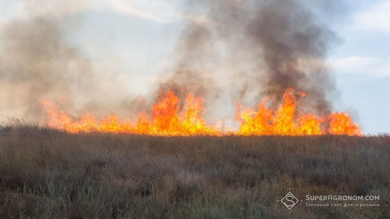 Ви зараз переглядаєте Супутникові знімки показали масштаби вигорілих полів на Херсонщині від російських обстрілів