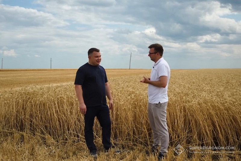 Ви зараз переглядаєте Урожайність озимої пшениці на Одещині сягнула 10 т/га
