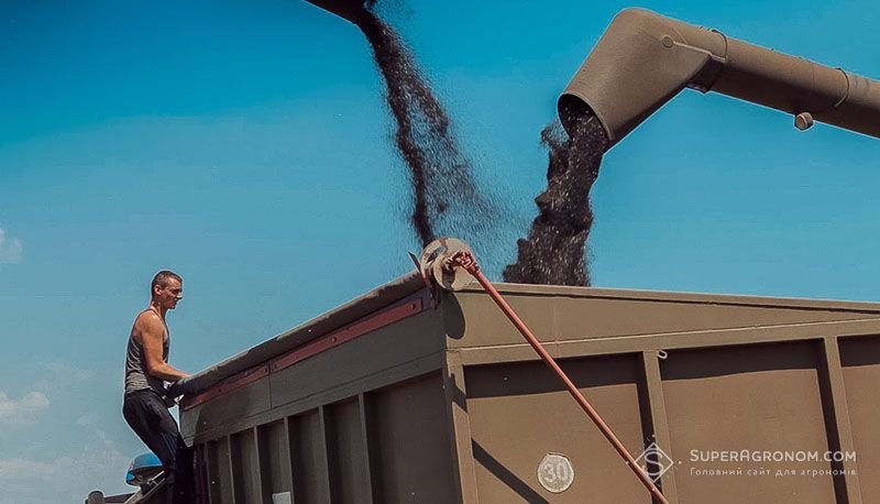 Ви зараз переглядаєте В Tekom Agro Group стартували жнива: ріпак дає понад 30 ц/га, пшениця — 57 ц/га