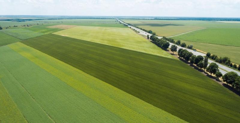 В Україні запрацював новий сервіс оренди землі через застосунок моЄ В Україні запрацював новий сервіс оренди землі через застосунок моЄ