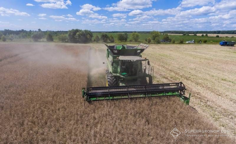Ви зараз переглядаєте Жнива ріпаку: Миколаївщина лідирує за намолотом, Львівщина — за урожайністю