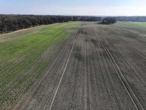 Ви зараз переглядаєте Як «випереджене» насіннєве ложе допомогло знизити засміченість лисохвостом польовим із 3 500 до менш ніж 10 рослин/м²