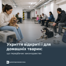 Ви зараз переглядаєте Держпродспоживслужба: під час повітряної тривоги українці мають право перебувати в укриттях із домашніми тваринами