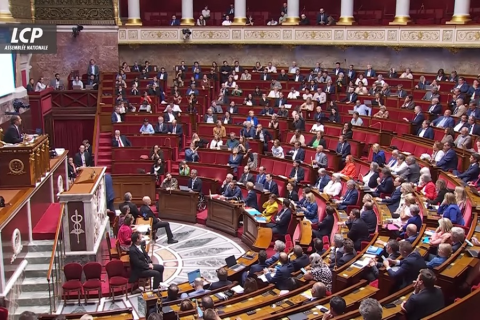 Ви зараз переглядаєте Французька LFI готує законопроєкт про заборону ацетаміприду та флупірадіфурону