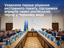 Ви зараз переглядаєте Уряд тимчасово скоригував мінімальні експортні ціни на окремі види агропродукції для підтримки аграріїв