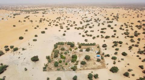 Ви зараз переглядаєте FAO на COP17: відновлення пасовищ потребує участі пастухів і фокусу на якості рослинності