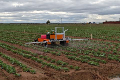 Ви зараз переглядаєте FieldSense Robotics оновила агроровер: швидкість понад 15 км/год і фокус на сервісопридатності в господарстві