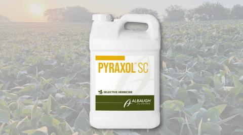 Ви зараз переглядаєте Albaugh отримала реєстрацію EPA для гербіциду Pyraxol SC на основі піраксасульфону