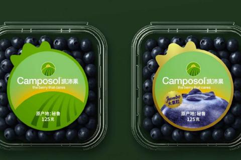 Ви зараз переглядаєте Перу: Camposol на старті сезону 2026/27 наростив постачання лохини до Китаю на 631%