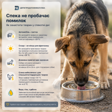Ви зараз переглядаєте Держпродспоживслужба нагадала правила захисту домашніх і сільськогосподарських тварин у спеку