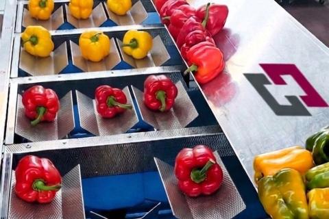 Ви зараз переглядаєте Zetapack завершила літню кампанію випробувань вагових машин AGV50 та AGV50 Plus на майданчиках у Європі