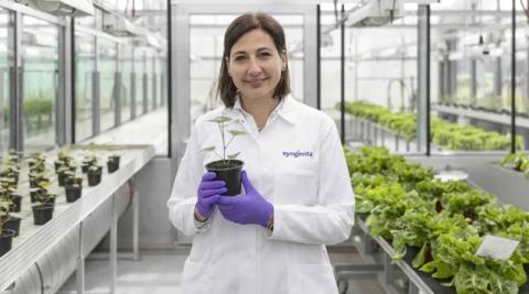 Ви зараз переглядаєте ACS відзначило Каміллу Корсі (Syngenta) міжнародною премією 2026 року за дослідження в агрохімії