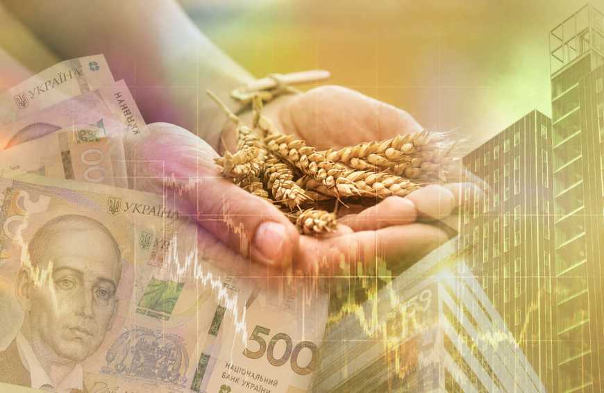 Ви зараз переглядаєте Зерно можна буде закласти в банк замість продажу