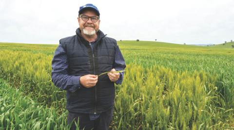 Ви зараз переглядаєте На AgQuip Grower Forum 2026 в Австралії обговорять біологічний азот і сезонні ризики хвороб зернових