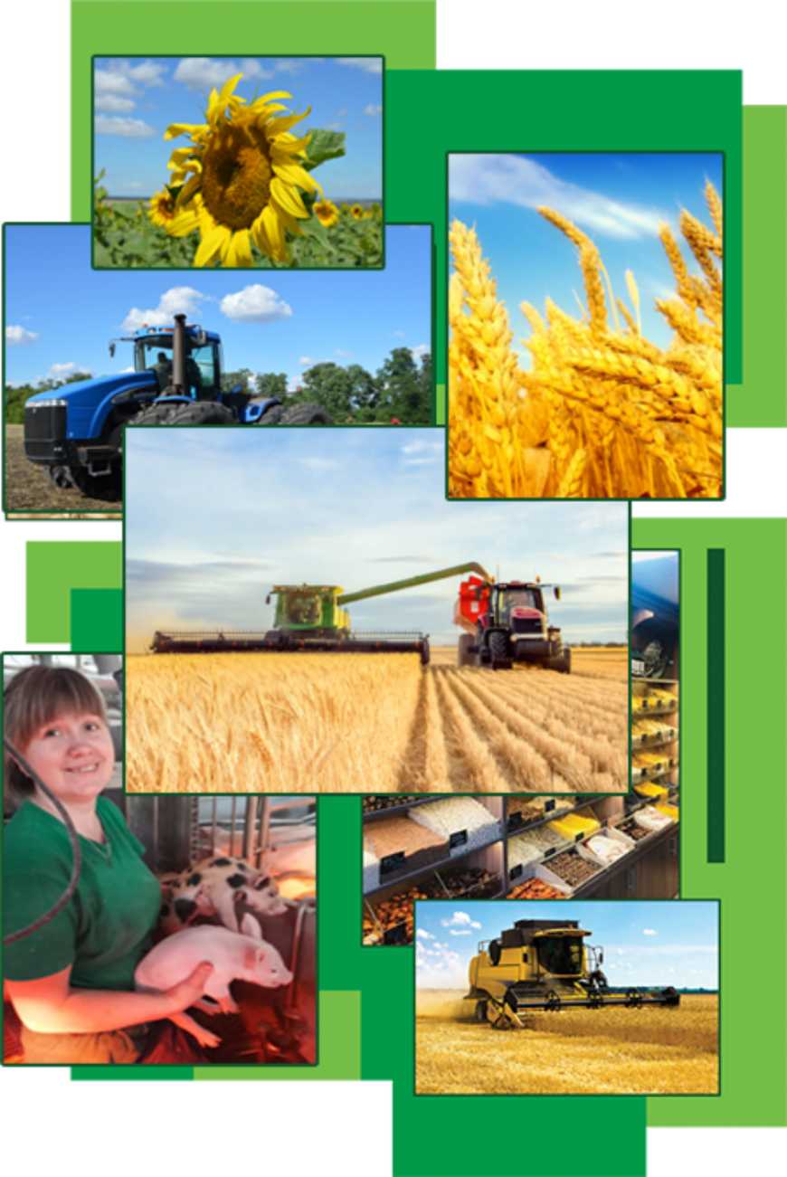 Ви зараз переглядаєте KSG Agro у І півріччі 2026 року збільшив операційний прибуток у 3,2 раза, EBITDA у 2,6 раза