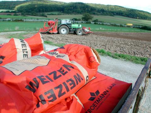 Ви зараз переглядаєте Німеччина: у 2025/26 частка сертифікованого насіння в посівах зернових зросла до близько 60%