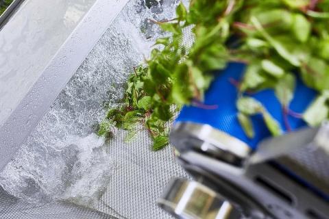Ви зараз переглядаєте Промислове миття салатів із ПАР може зменшувати кількість попелиці на 85–90% — дані виробника