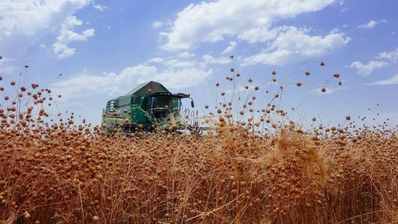 Ви зараз переглядаєте На Одещині зібрали льон олійний з урожайністю 2 т/га, вирощений на verti-till