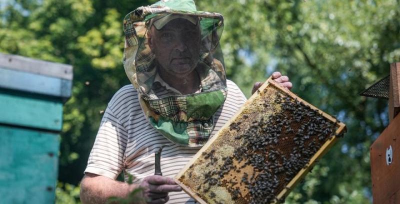 На Сумщині пасічники розраховують на вдалий медозбір
