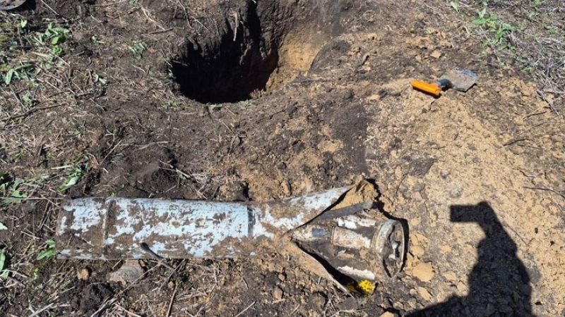 Ви зараз переглядаєте Перший урожай пшениці зібрали на розмінованому полі в господарстві Харківщини