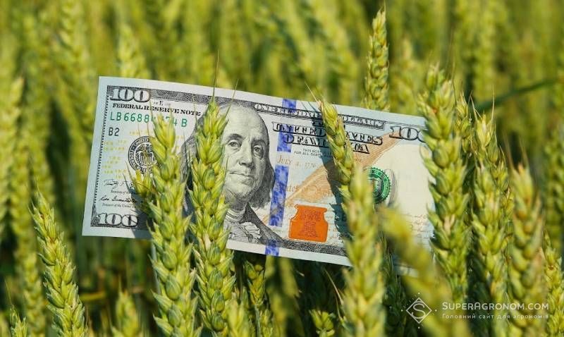 Ви зараз переглядаєте Потенційний врожай, стан посівів в регіонах та можливості логістики: аналітики дали оцінку