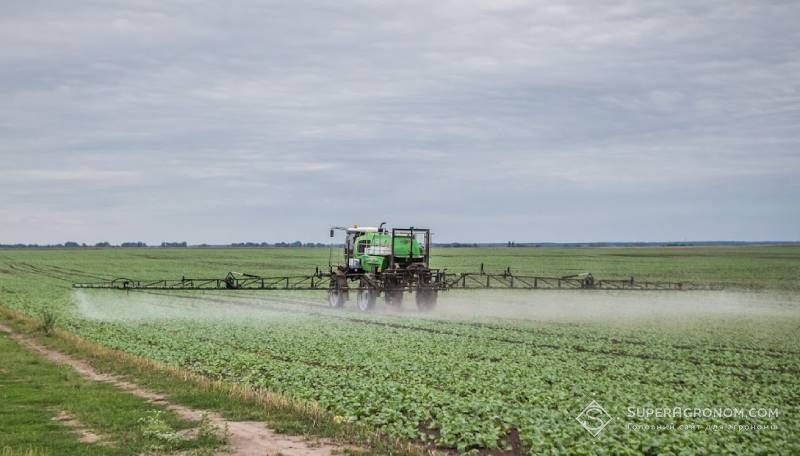 Ви зараз переглядаєте Реєстрацію фенмедифаму та металаксилу продовжено в ЄС