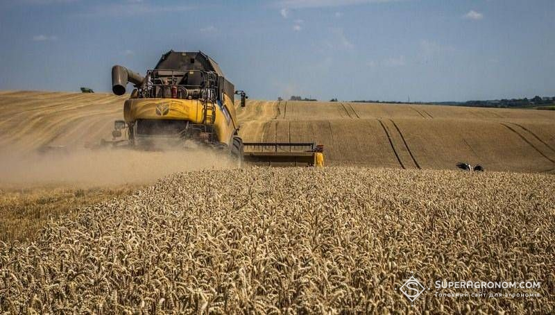 Ви зараз переглядаєте Ріпак та ячимінь на Львівщині зібрали з вищою за минулорічну врожайністю, натомість пшениця показала нижчий результат