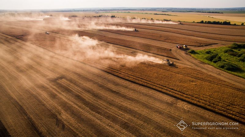Ви зараз переглядаєте В агрохолдингах МХП, ТАС Агро та ІМК повідомили про завершення жнив ранньої групи культур