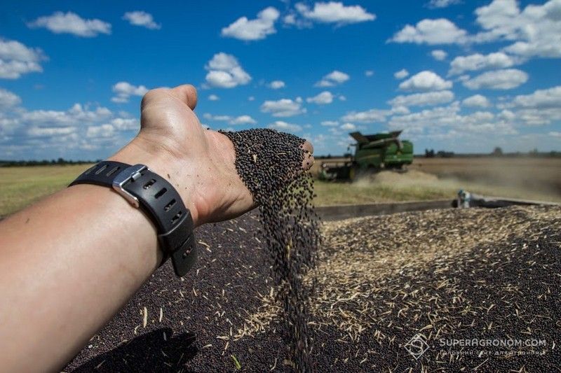 Ви зараз переглядаєте Жнива 2026 в Кіровоградській області: урожайність усіх ранніх культур перевищила торішню