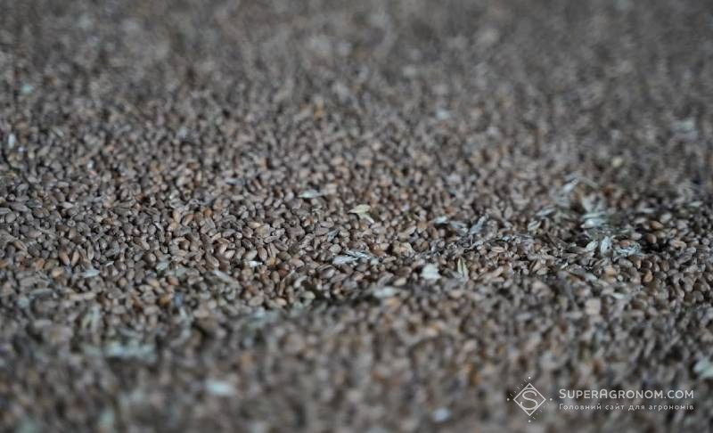 Ви зараз переглядаєте Зростання цін на зерно не варто очікувати навіть якщо проблеми з логістикою вирішаться — думка