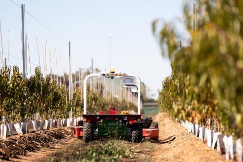 Ви зараз переглядаєте В Австралії запустили онлайн-каталог VegMech для вибору рішень з механізації та роботизації в овочівництві