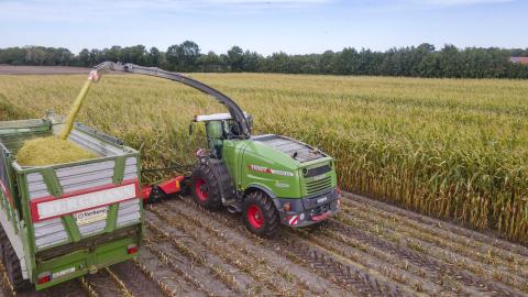 Ви зараз переглядаєте Fendt випробувала камеру для контролю якості подрібнення кукурудзи: CSPS вимірюється прямо під час збирання