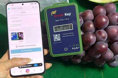 Ви зараз переглядаєте Мобільний застосунок FreshEye пропонує відстеження холодового ланцюга для партій фруктів у реальному часі
