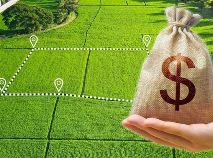 Ви зараз переглядаєте Скільки насправді коштує земельна ділянка: як перевірити ціну за відкритими даними
