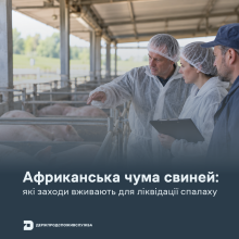 Ви зараз переглядаєте АЧС: які заходи вживають для ліквідації спалаху
