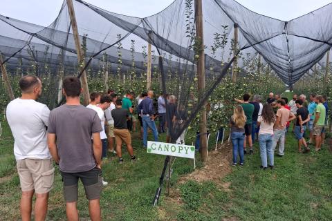Ви зараз переглядаєте В Італії провели перший польовий день яблуні Canopy: пілотні сади дали перші врожаї