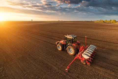 Ви зараз переглядаєте Після посухи 2025 року в Атлантичній Канаді опади покращили стан посівів, але наслідки ще помітні