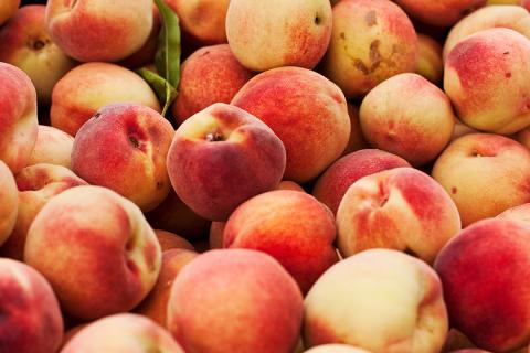 Ви зараз переглядаєте Pacific Coast Producers планує подовжити сезон переробки персика у США на 25–30 днів