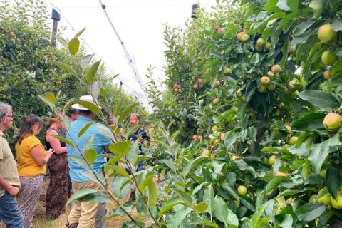 Ви зараз переглядаєте Садівники Великої Британії роблять ставку на стійкі сорти та «robot-ready» сади