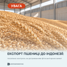 Ви зараз переглядаєте Експорт пшениці до Індонезії: що змінилося у фітосанітарних вимогах