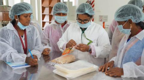 Ви зараз переглядаєте ICRISAT у Телангані запустив Nutri-Food Basket: як переробка проса та локальні цехи підтримали шкільне й соціальне харчування